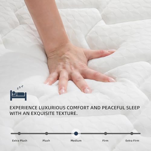 MOLBIUS Full Size Mattress 10 Inch | Full Mattresses in a Box Hybrid | Medium Firm Feel Memory Foam and Individual Pocket Springs | Fiberglass Free Bed Matress | Breathable | CertiPUR-US | Upgrade