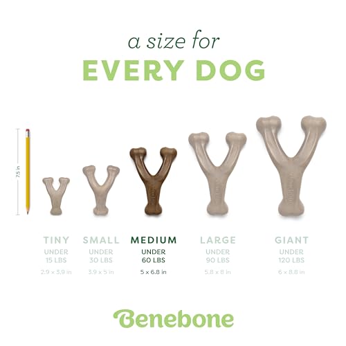 Benebone Wishbone Durable Dog Chew Toy for Aggressive Chewers, Real Chicken, Made in USA, Medium