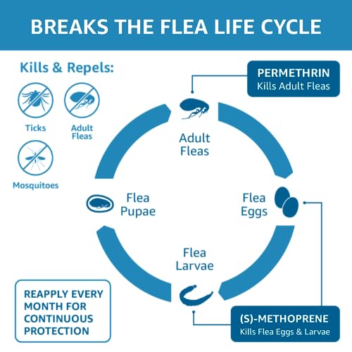 Amazon Basics Flea, Tick & Mosquito Topical Treatment for Medium Dogs (11-20 pounds), 6 Count (Previously Solimo)