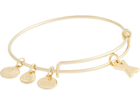 Alex and Ani A20EBINT24SG,Initial X III Expandable Bangle Bracelet,Shiny Gold,Gold, Bracelets