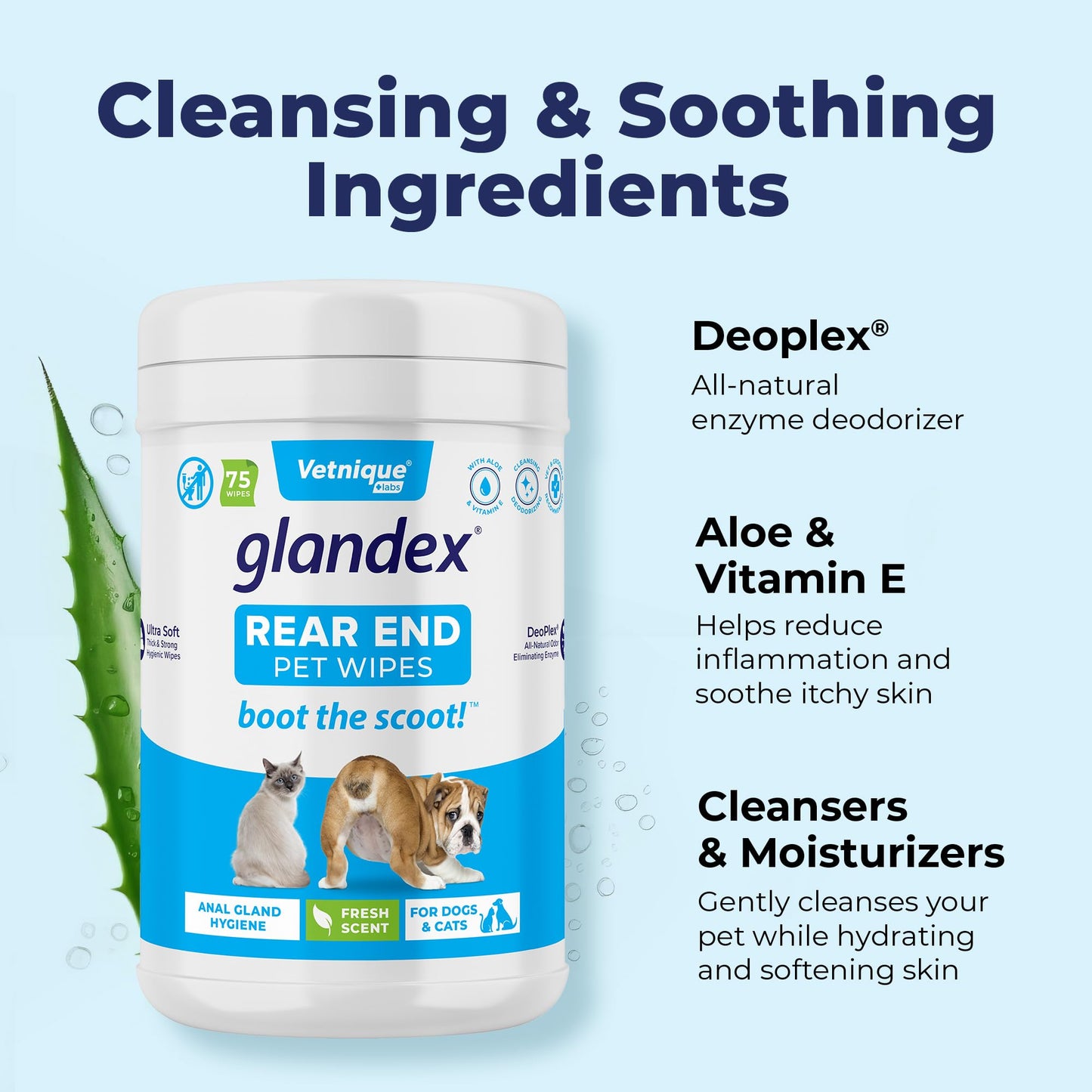 Glandex Anal Gland Hygienic Pet Wipes (100 Ct) and Dermabliss Allergy Supplement for Dogs (30 Ct) Bundle | Dog Cleaning Wipes with Fresh Scent for Anal Glands, Allergy and Itch Relief for Dogs