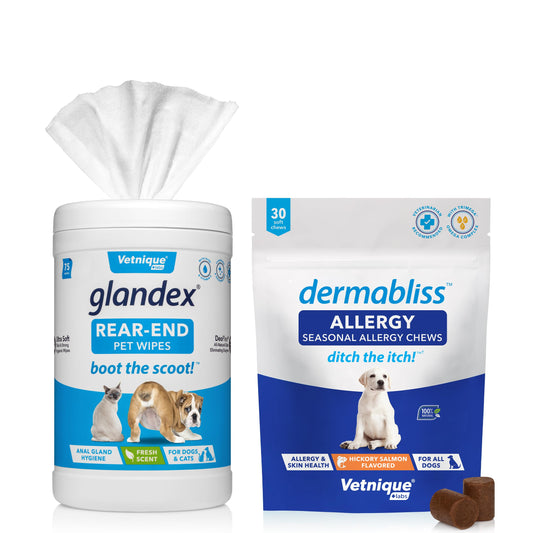 Glandex Anal Gland Hygienic Pet Wipes (100 Ct) and Dermabliss Allergy Supplement for Dogs (30 Ct) Bundle | Dog Cleaning Wipes with Fresh Scent for Anal Glands, Allergy and Itch Relief for Dogs