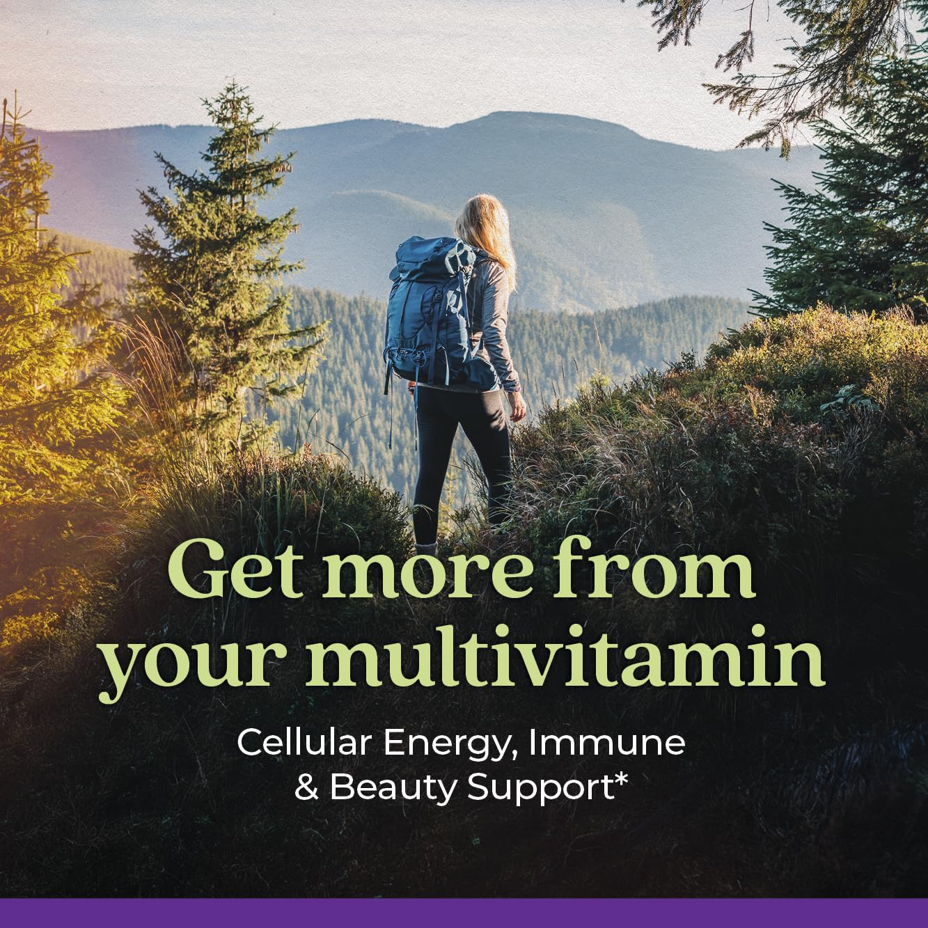 New Chapter Women's Multivitamin for Immune, Beauty + Energy Support with 20+ Nutrients -- Every Woman's One Daily, Gentle on the Stomach, 72 Count