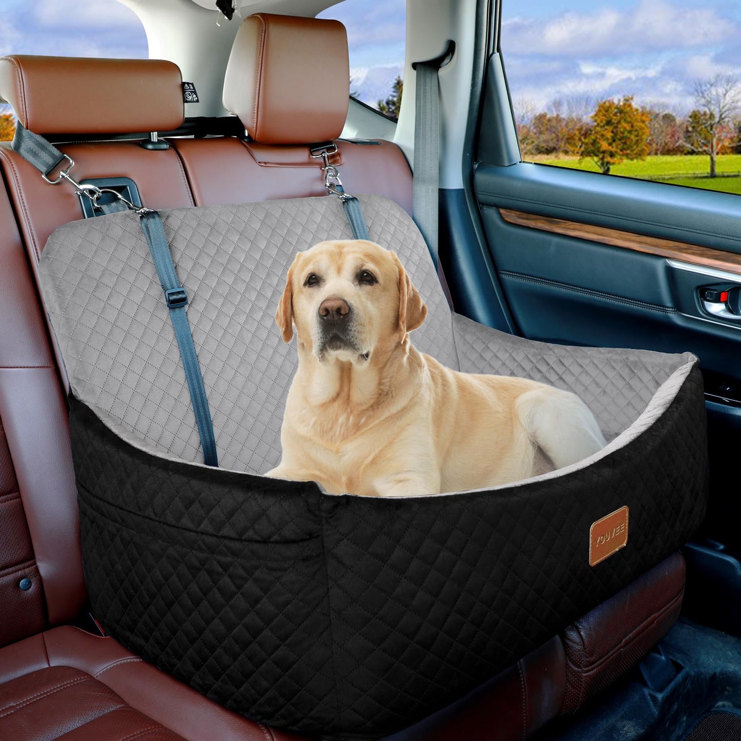 Youvee Dog Car Seat for Large/Medium Dog,Interior Height 4 Inches Pet Car Bed for Dogs Under 55 lbs or 2 Small Dogs,Washable Dog Booster Seat with 2 Safety Leashes(Black Outside Grey Inside)